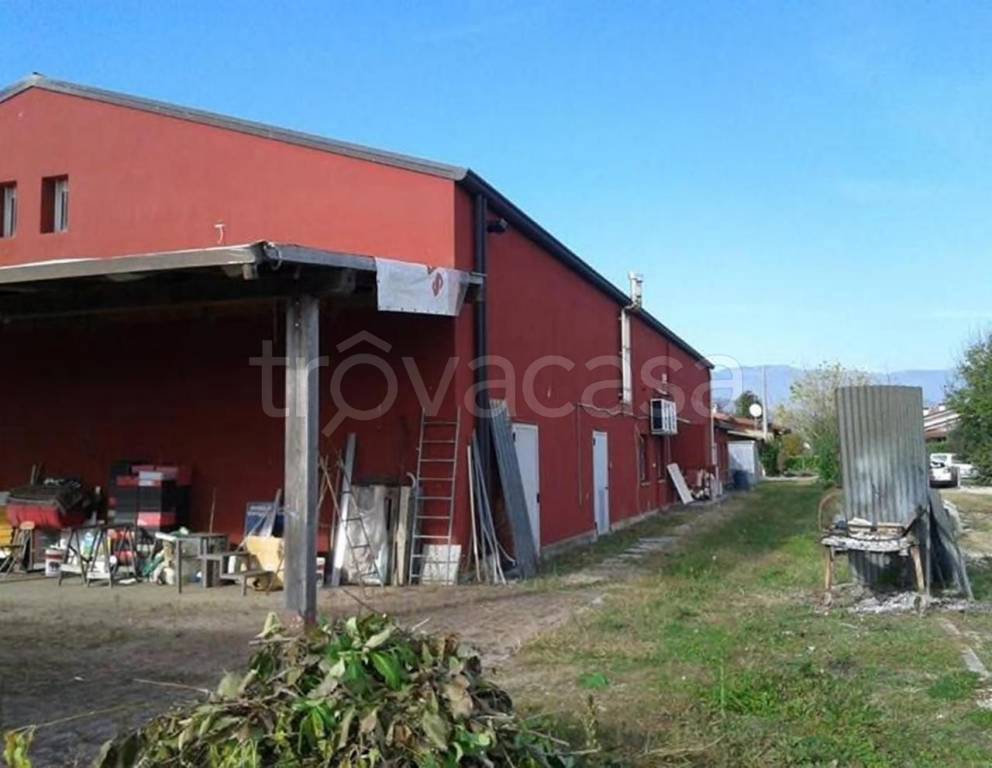 immagine annuncio 3 di 7