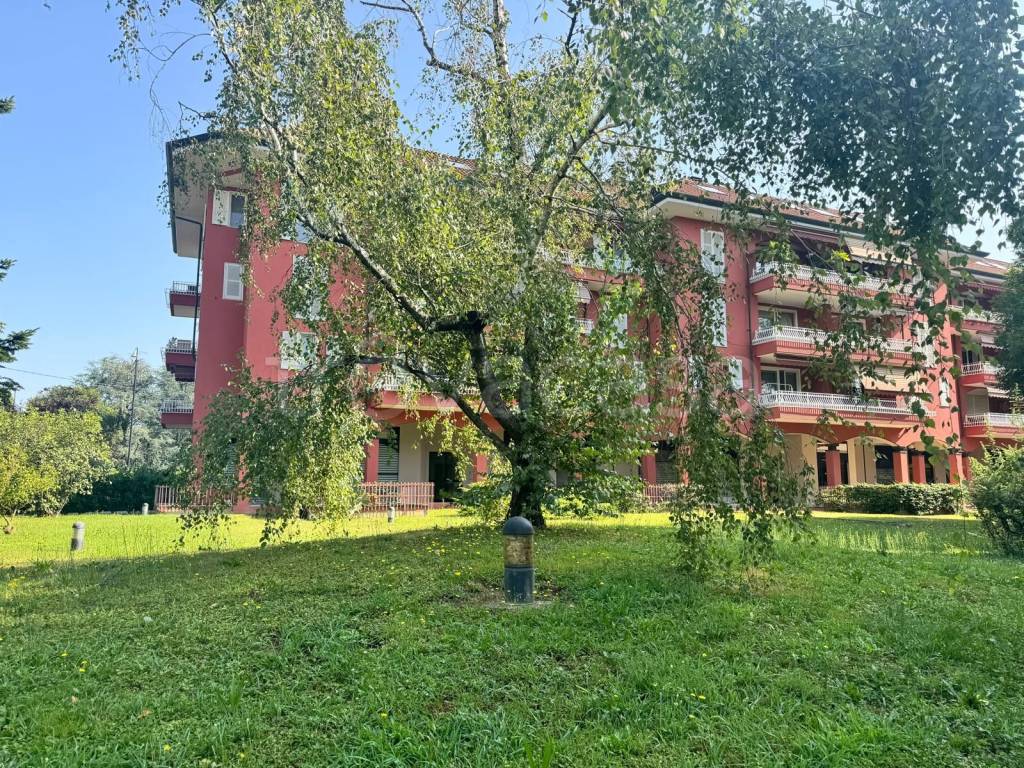 immagine annuncio 7 di 15