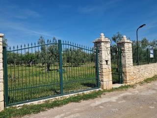 Terreno agricolo in vendita a terlizzi contrada prima difesa scalera