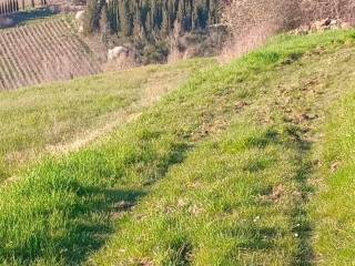 Terreno agricolo in vendita a pontassieve via del mannino