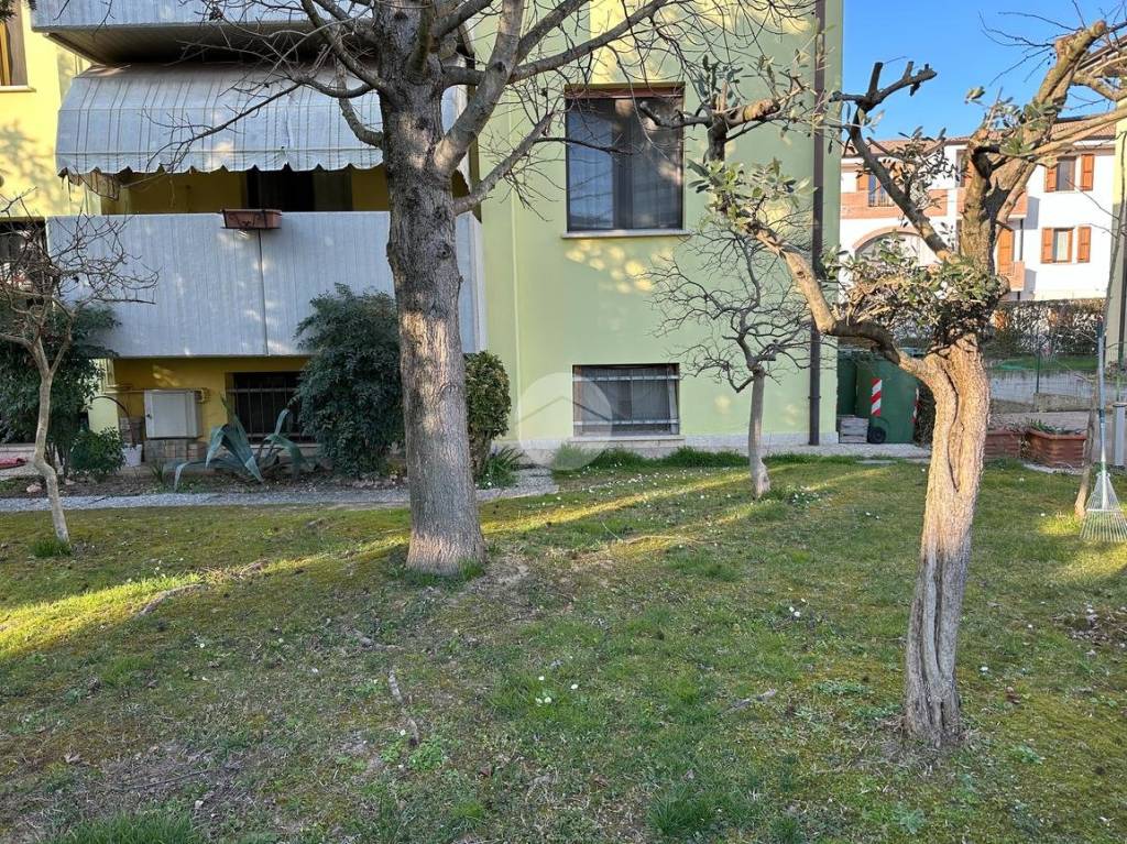 immagine annuncio 1 di 14