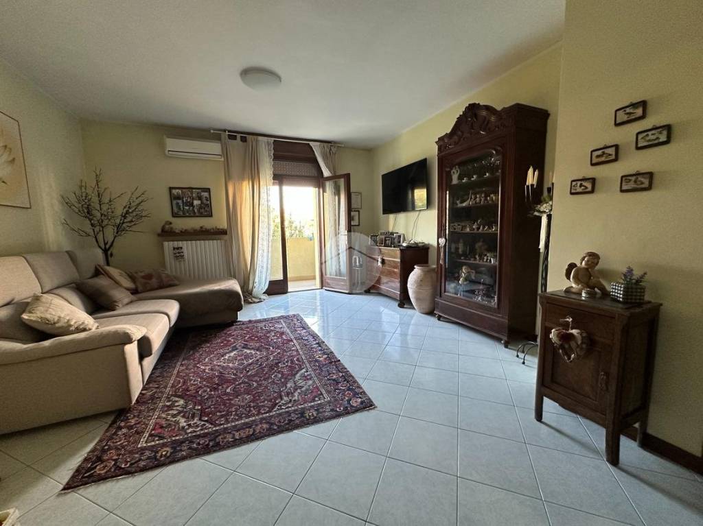 immagine annuncio 5 di 14