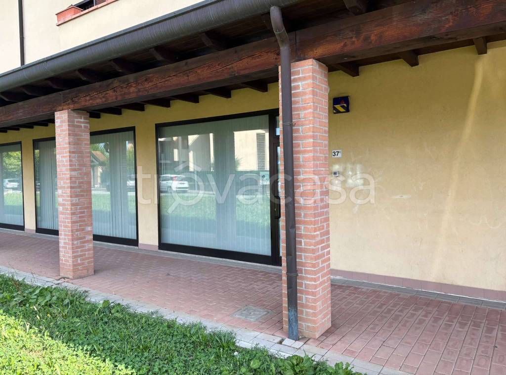 immagine annuncio 1 di 7