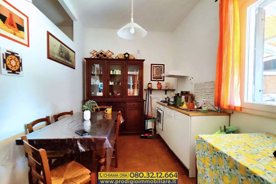 immagine annuncio 8 di 14