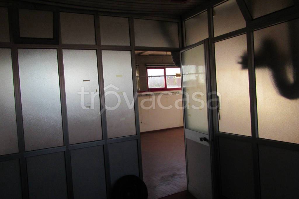 immagine annuncio 6 di 14