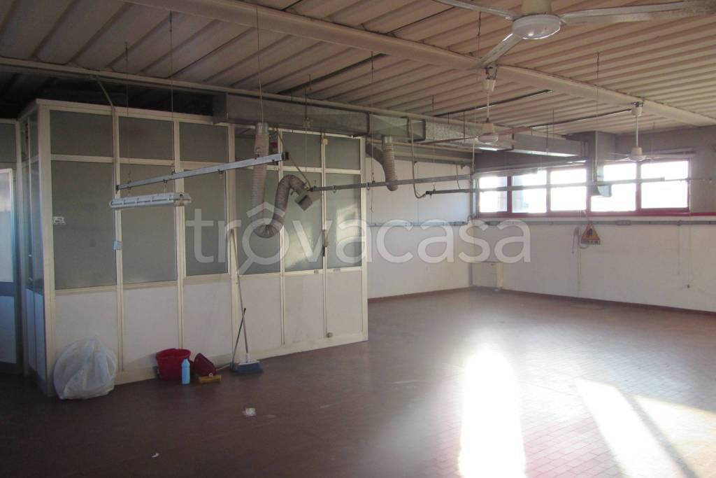 immagine annuncio 3 di 14