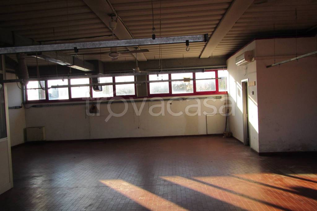 immagine annuncio 9 di 14