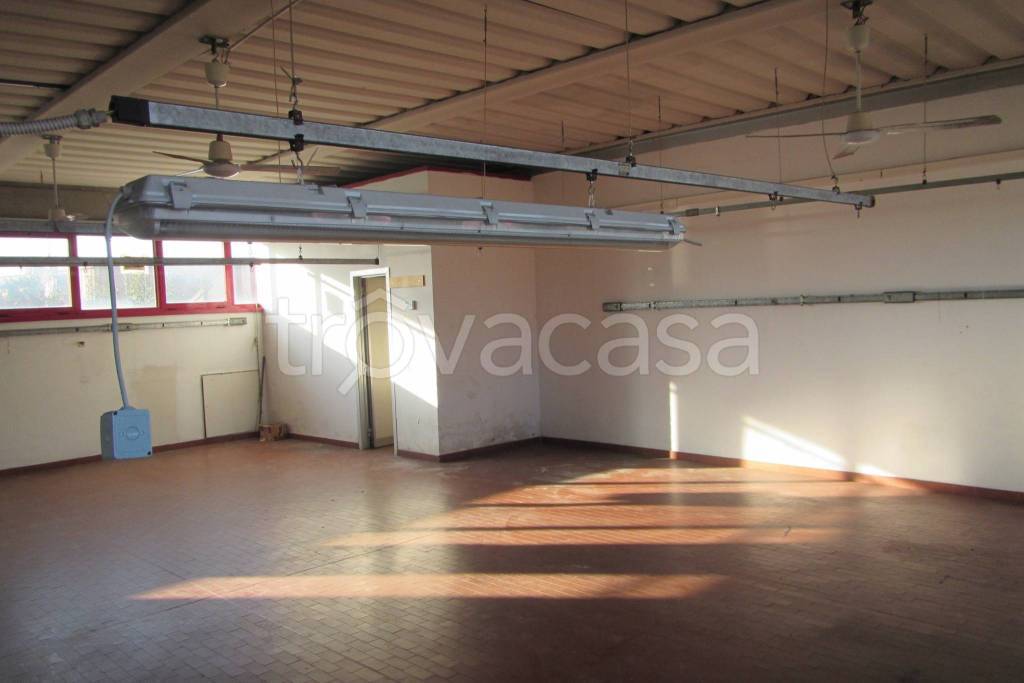 immagine annuncio 8 di 14