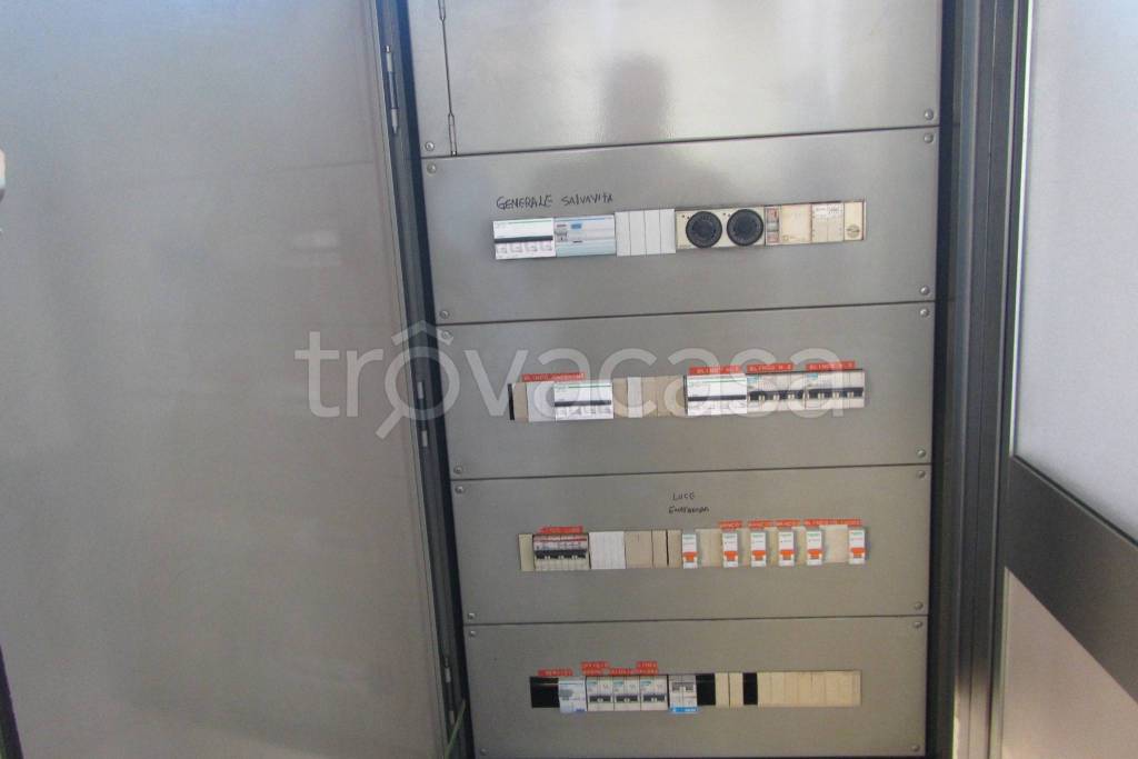 immagine annuncio 12 di 14