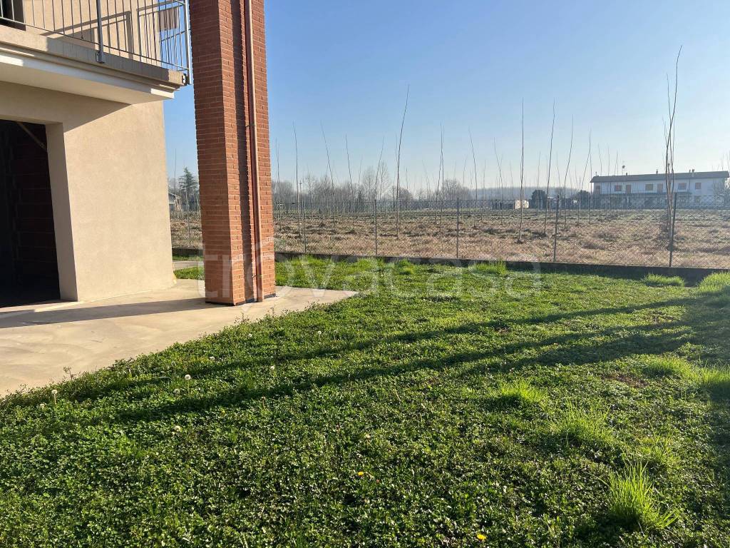 immagine annuncio 12 di 14