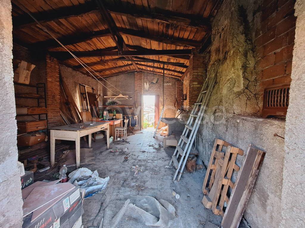 immagine annuncio 9 di 11