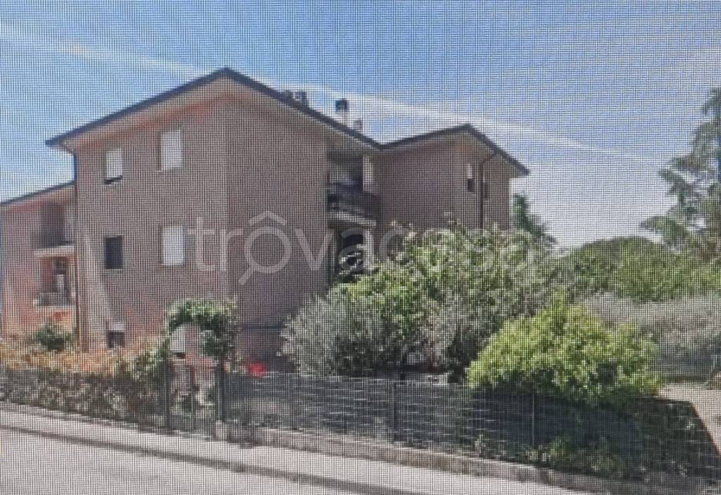 immagine annuncio 3 di 9