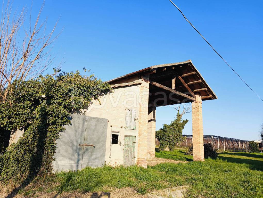 immagine annuncio 10 di 11