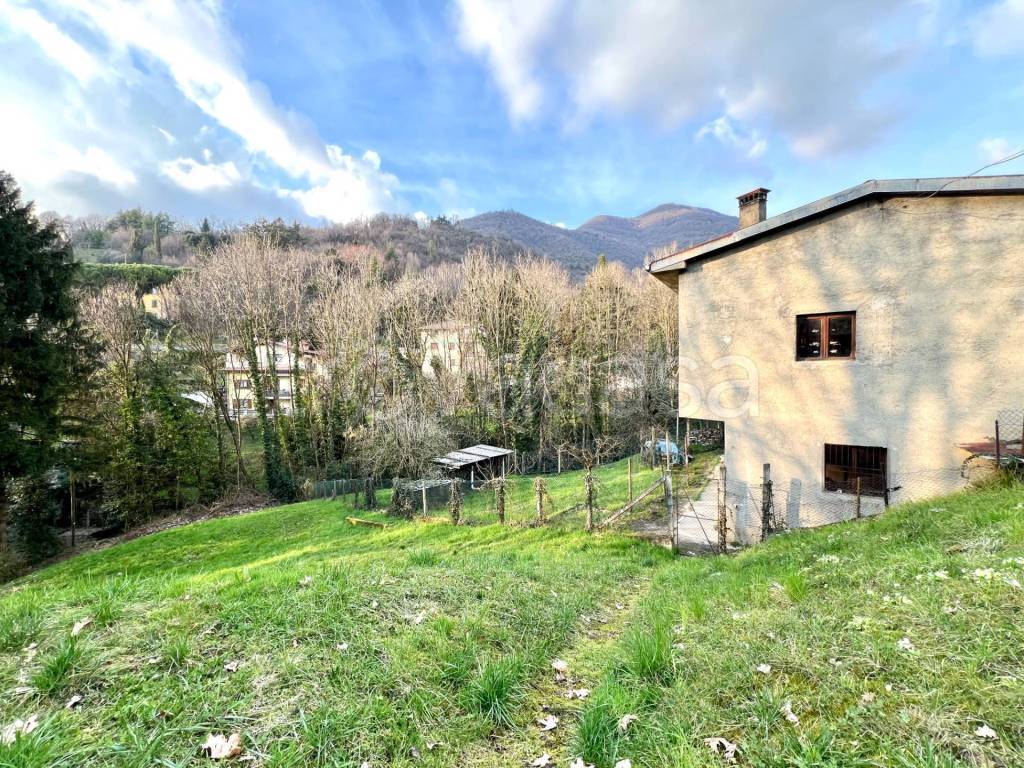 immagine annuncio 7 di 12
