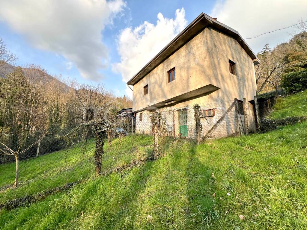 immagine annuncio 2 di 12
