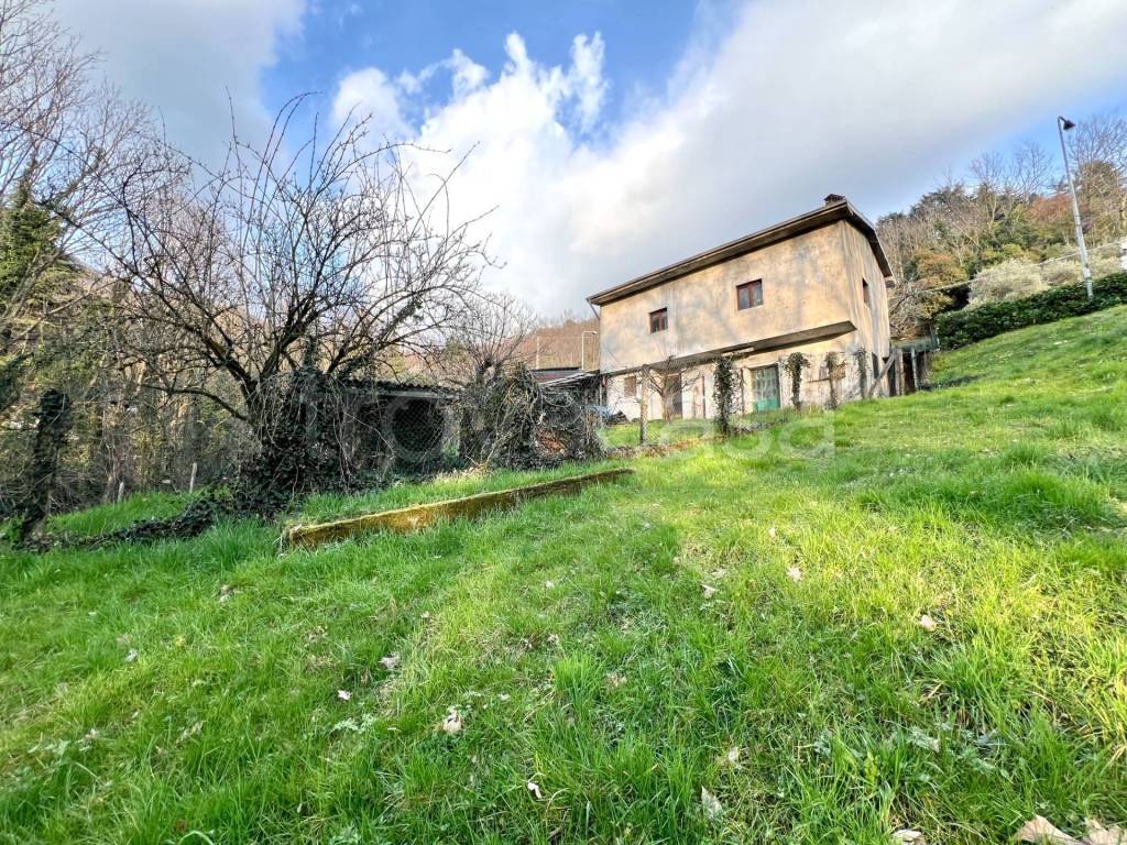 immagine annuncio 1 di 12
