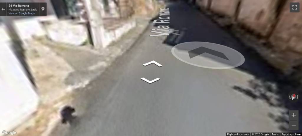 immagine annuncio 6 di 11