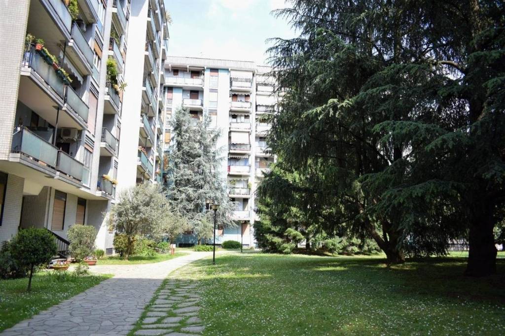 immagine annuncio 9 di 11