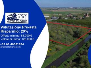 Terreno agricolo all'asta a cerea sp2