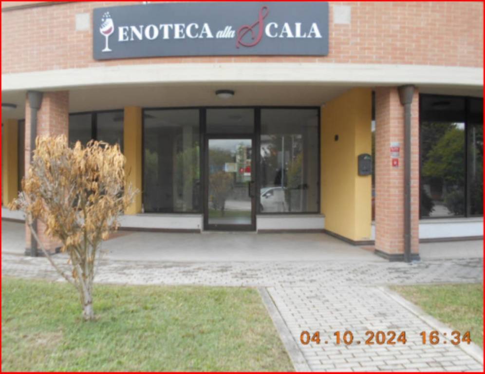 immagine annuncio 2 di 11