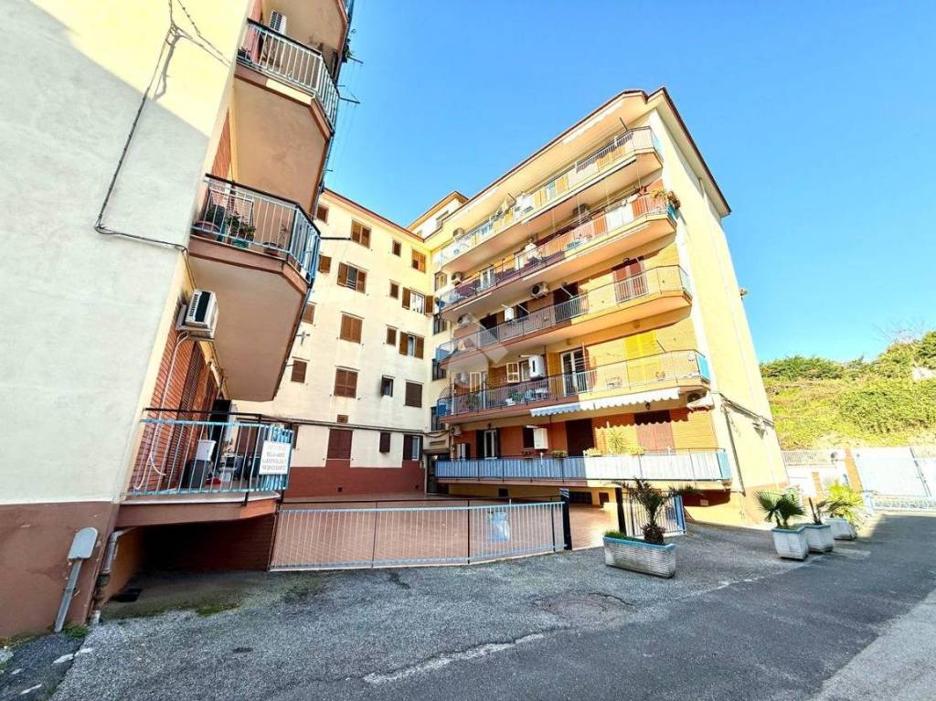immagine annuncio 2 di 11