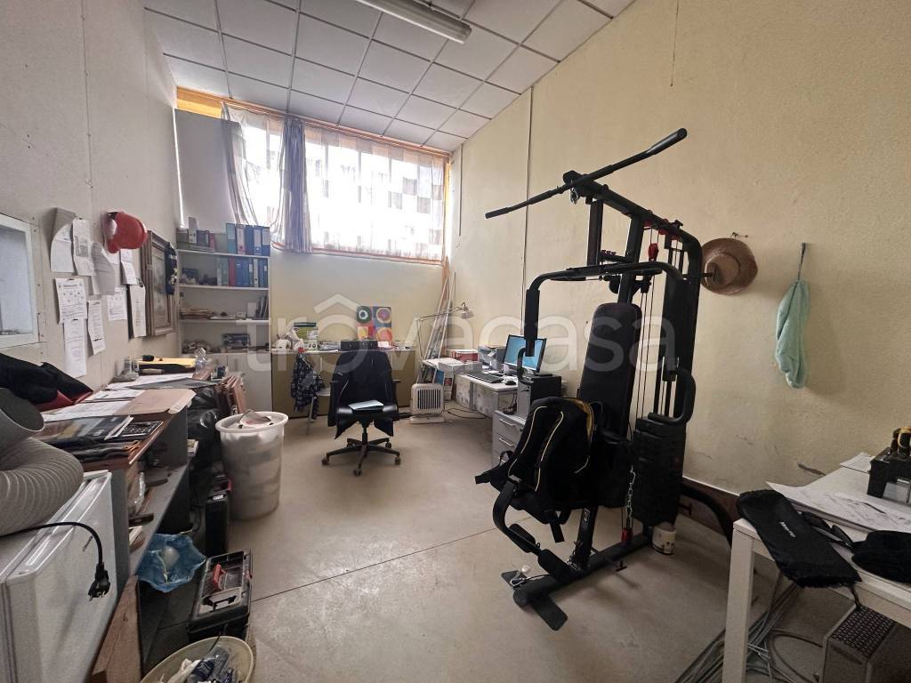 immagine annuncio 12 di 15