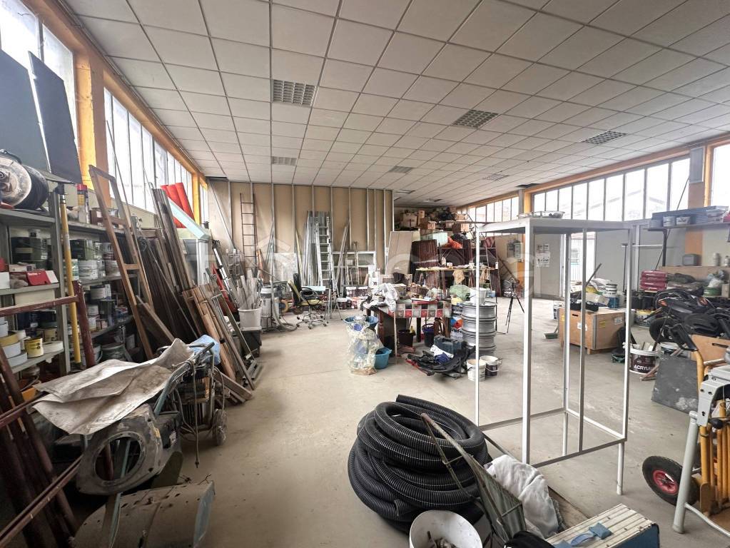 immagine annuncio 14 di 15