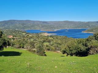 Terreno agricolo in vendita a sant'antonio di gallura 