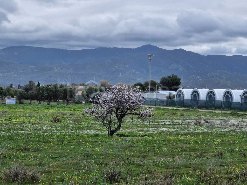 immagine annuncio 3 di 4