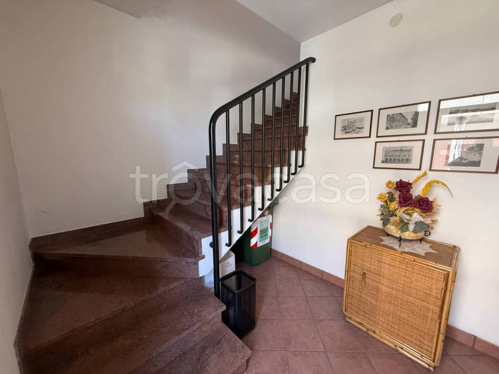 immagine annuncio 1 di 14
