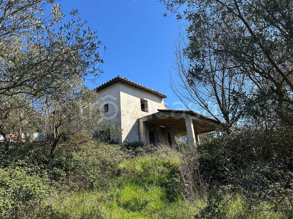 immagine annuncio 6 di 12