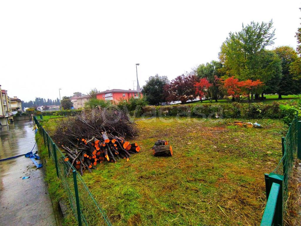immagine annuncio 12 di 14