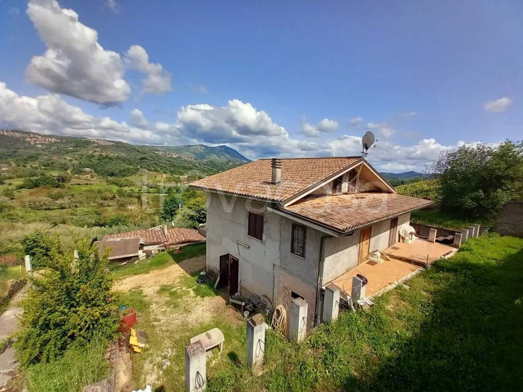 immagine annuncio 3 di 12