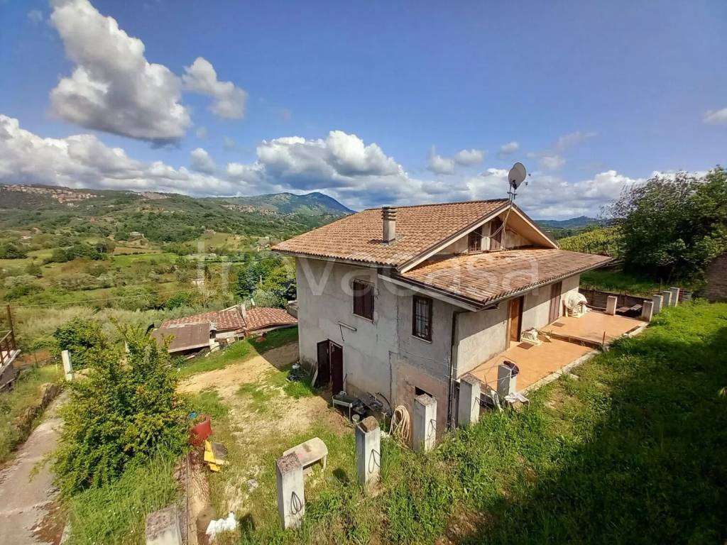 immagine annuncio 5 di 12