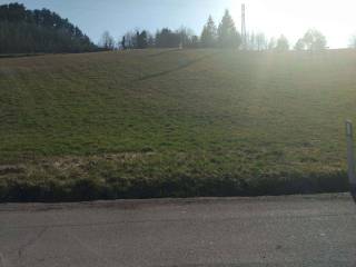 Terreno agricolo in vendita a castelnovo ne' monti via ruggiero grieco