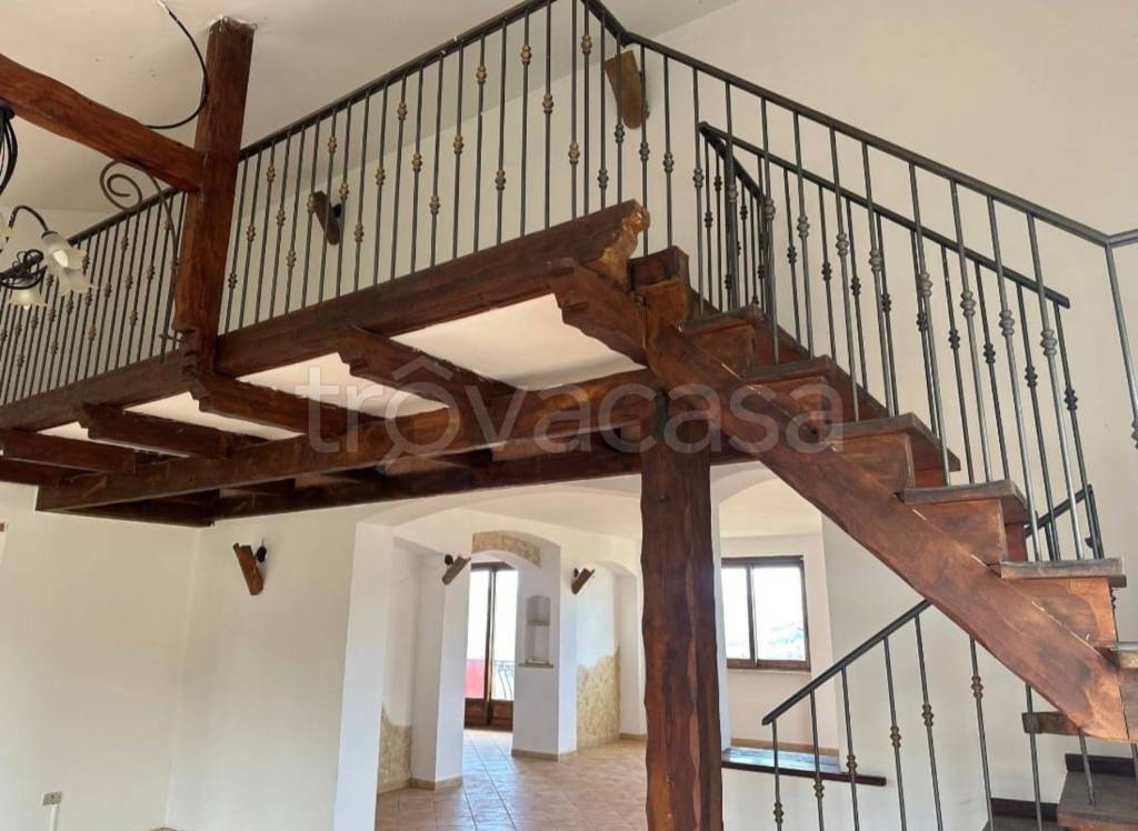 immagine annuncio 6 di 14