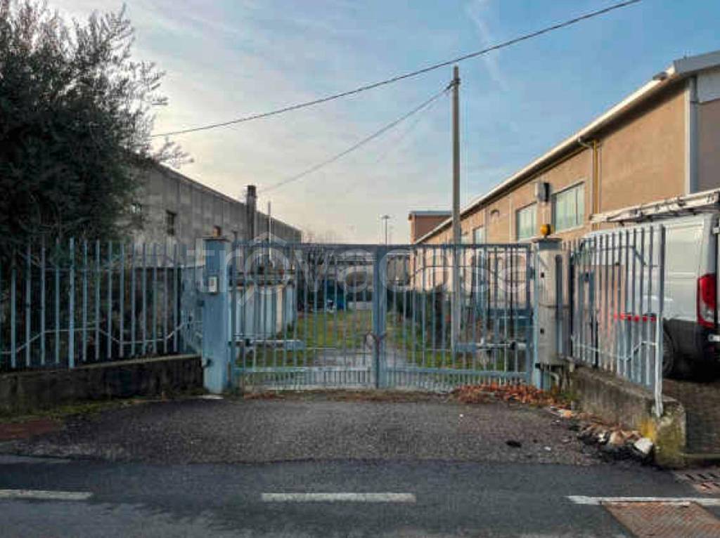 immagine annuncio 7 di 11