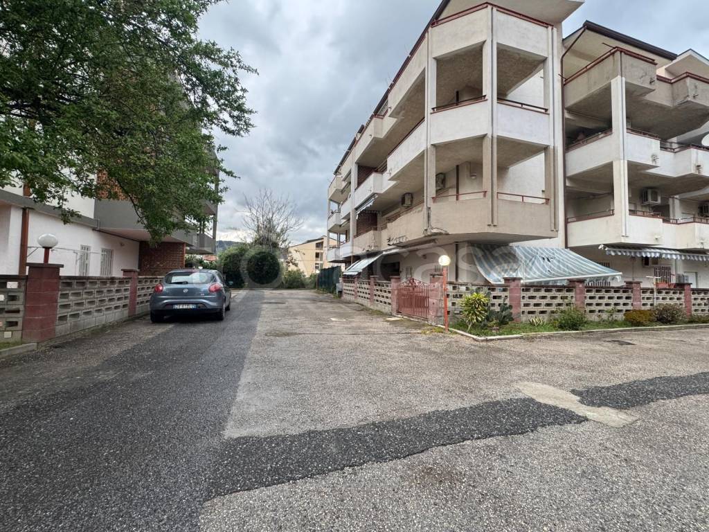 immagine annuncio 12 di 14