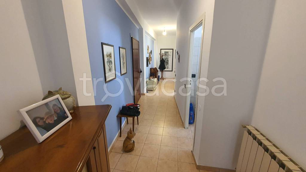 immagine annuncio 4 di 8