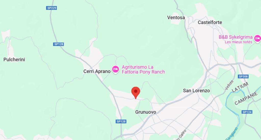 immagine annuncio 3 di 13