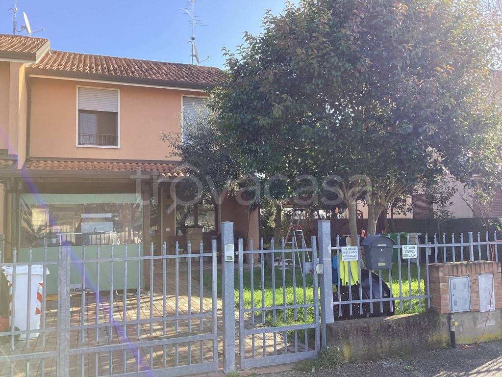 immagine annuncio 1 di 13