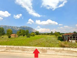 Terreno agricolo in vendita ad airola via pantaniello