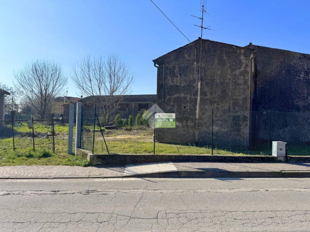 immagine annuncio 12 di 15