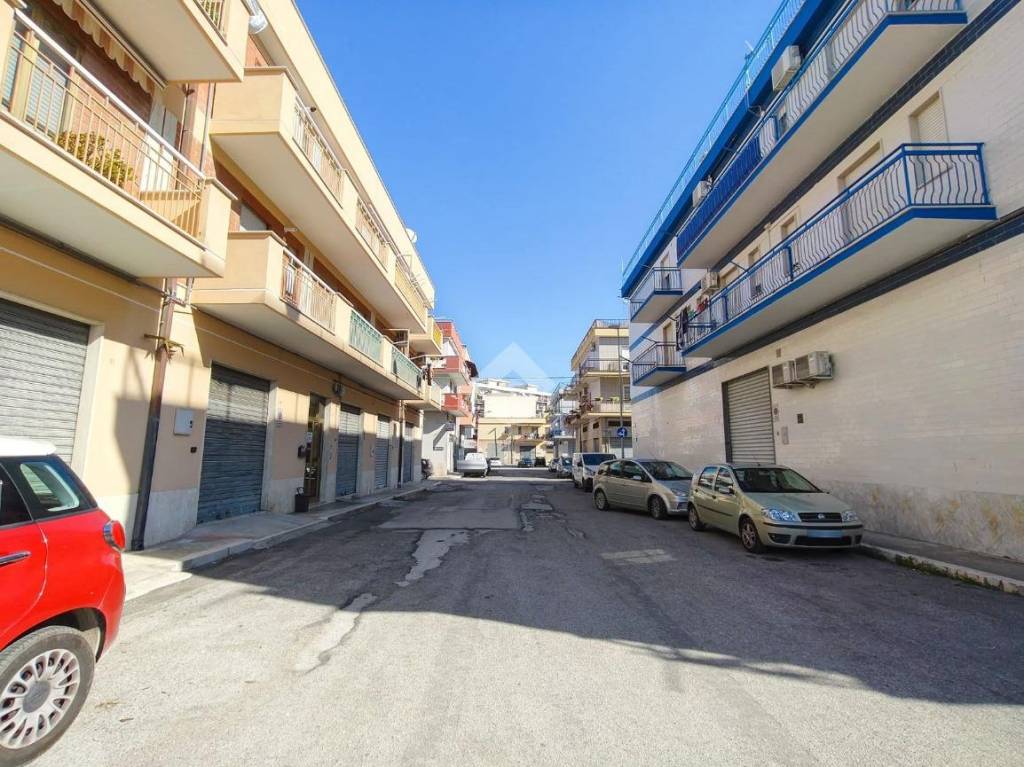 immagine annuncio 2 di 14