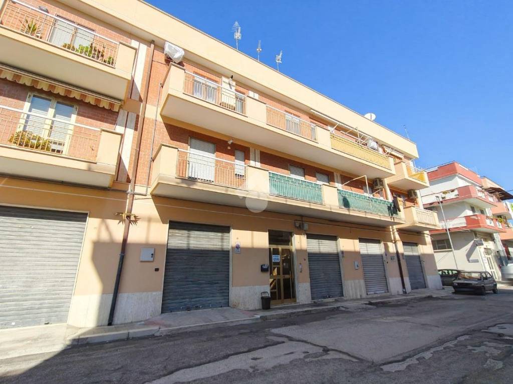 immagine annuncio 6 di 14