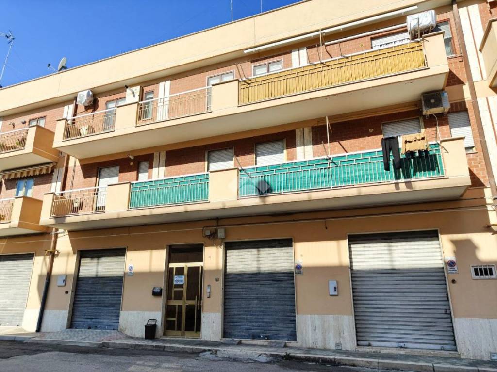 immagine annuncio 9 di 14
