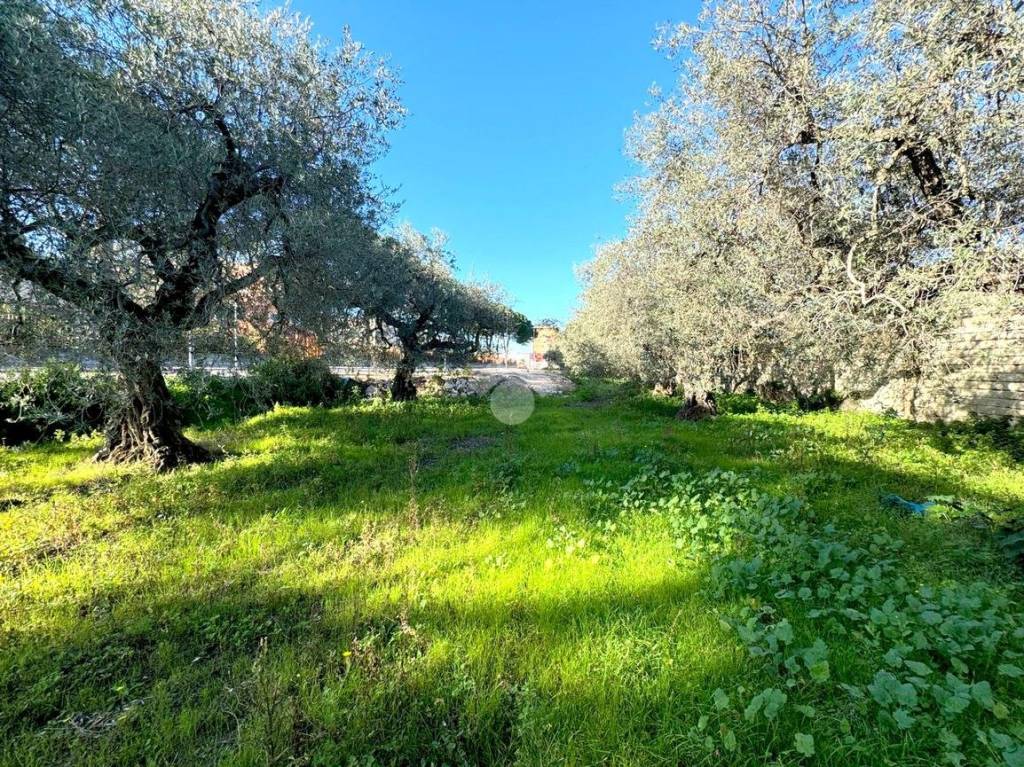 immagine annuncio 8 di 14
