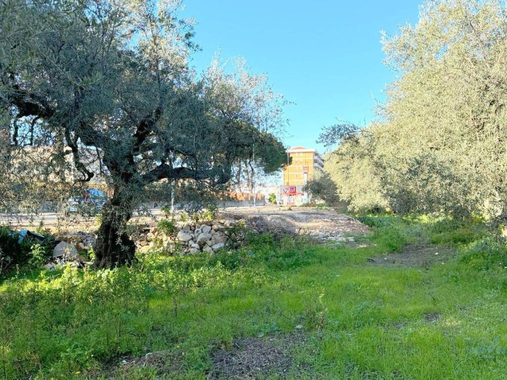 immagine annuncio 11 di 14