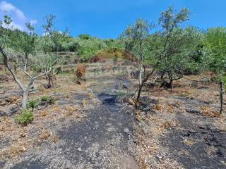 Terreno agricolo in vendita a santa venerina contrada monacella, snc