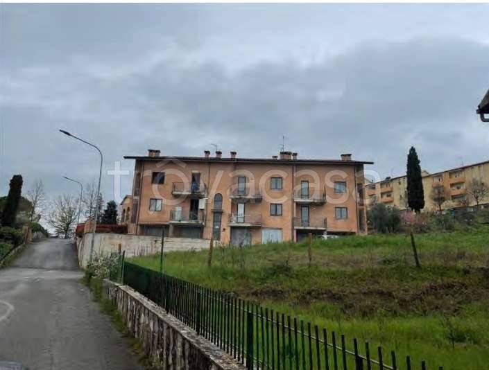 immagine annuncio 12 di 14